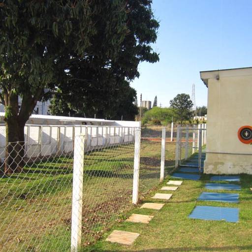 Hotel para cães em Avaré