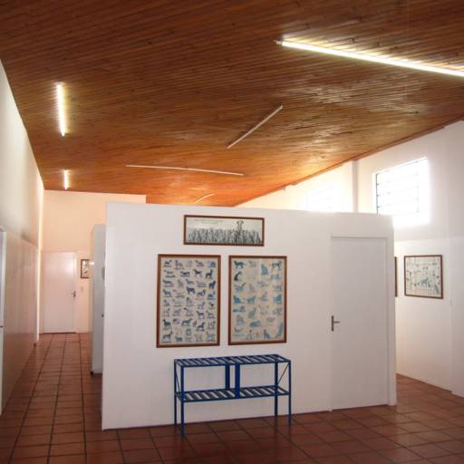 Veterinário  em Avaré por Clínica Veterinária Gato.Cão Avaré