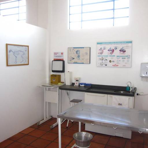 Veterinário  em Avaré por Clínica Veterinária Gato.Cão Avaré