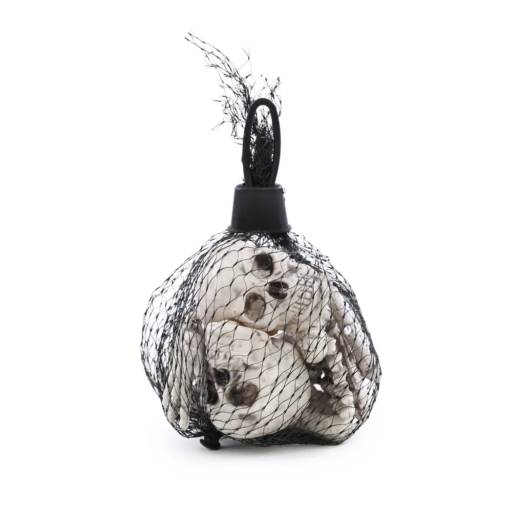 Kit Mini Esqueleto Kael com 12pç - Cromus em Foz do Iguaçu, PR por EmbalaFoz Tudo em Embalagens