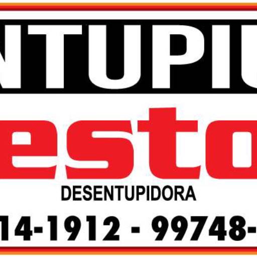 Comprar o produto de Entupiu? Destop! em Outros Serviços pela empresa Destop Desentupidora em São Manuel, SP por Solutudo