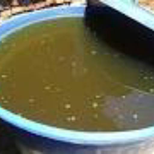 Limpeza de caixa d'água em Avaré por EcoMax