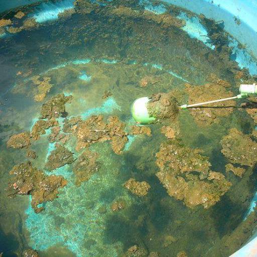 Limpeza de caixa d'água em Avaré por EcoMax