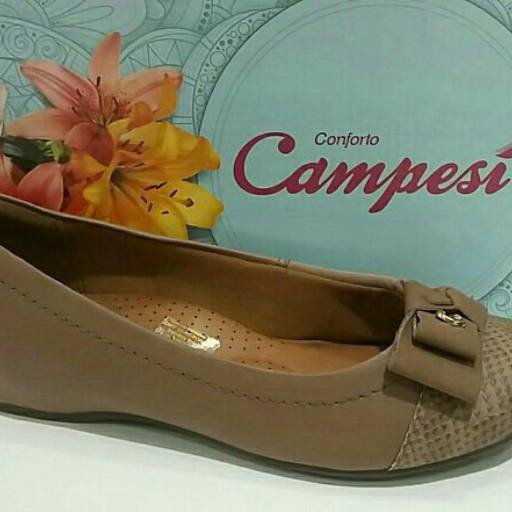 Comprar o produto de Sapato Campesi.  em A Classificar pela empresa Di Marry Calçados em Bauru, SP por Solutudo