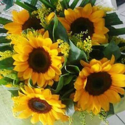 Comprar o produto de Buquê de Girassol em Outros Serviços pela empresa Garden Flores & decorações  em Itatiba, SP por Solutudo