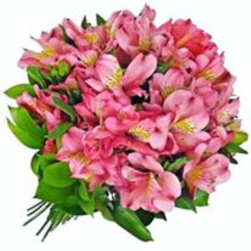 Comprar o produto de Buquê para Noiva em A Classificar pela empresa Garden Flores & decorações  em Itatiba, SP por Solutudo