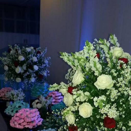 Novalles Buffet & Locações por Novalles Buffet & Locações