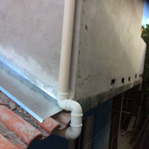 Rufos por Nostra Calha