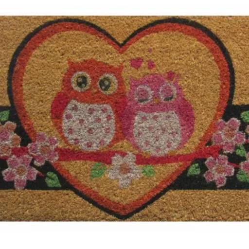 Capacho de Fibra de coco