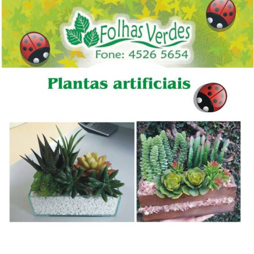 Comprar o produto de Plantas artificiais em A Classificar pela empresa Folhas Verdes  em Jundiaí, SP por Solutudo
