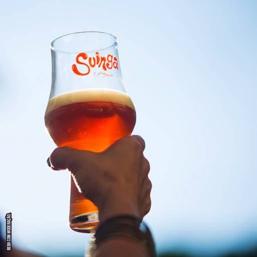 Comprar o produto de Cervejaria Suinga em Alimentos e Bebidas pela empresa Cervejaria Suinga em Presidente Prudente, SP por Solutudo