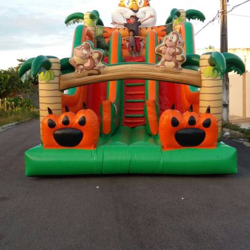 TOBOGÃ TIGRÃO por Jump Party - Aluguel de Brinquedos