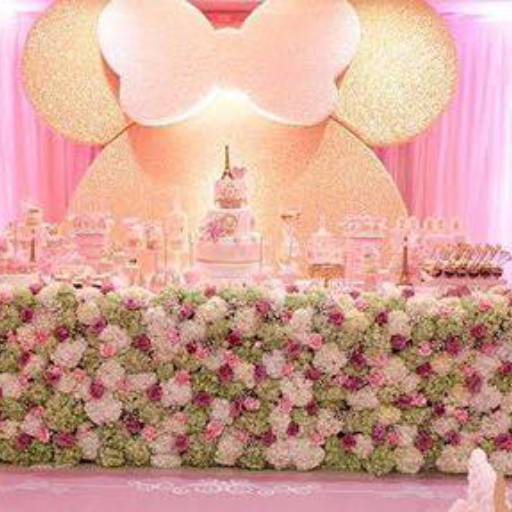 Festa Linda com o Tema: Sonho e Rosa muito Rosa!!!  por Buffet planeta kids