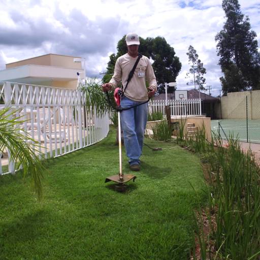 Comprar o produto de Manutenção de Jardins em Outros Serviços pela empresa Ekos Prestadora de Serviços  em Itatiba, SP por Solutudo