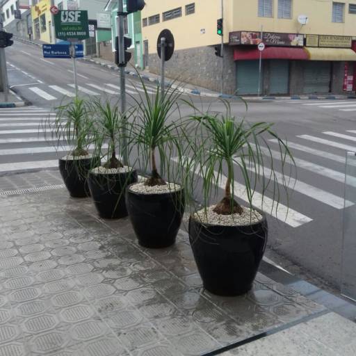 Nossos Serviços por Ekos Prestadora de Serviços 