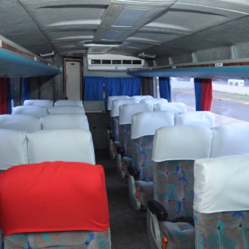 Ônibus Executivo - 25 lugares