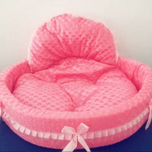 Caminha para o pet