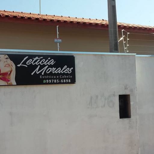 Pingadeiras para proteção de muros em Lençóis Paulista, SP por FW Calhas