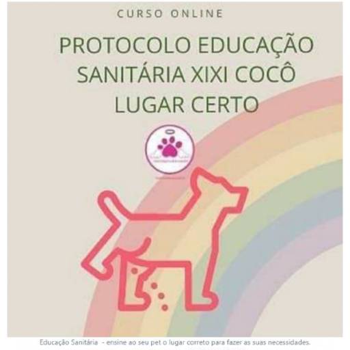 Protocolo Educação Sanitária Xixi e Cocô no Lugar Certo por DesCãoplica por Vanessa Mendes | Bióloga Comportamental