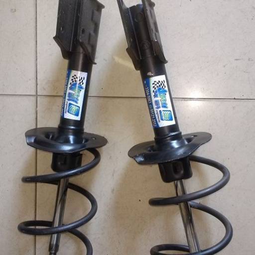 Suspensão Fixa do Pálio 