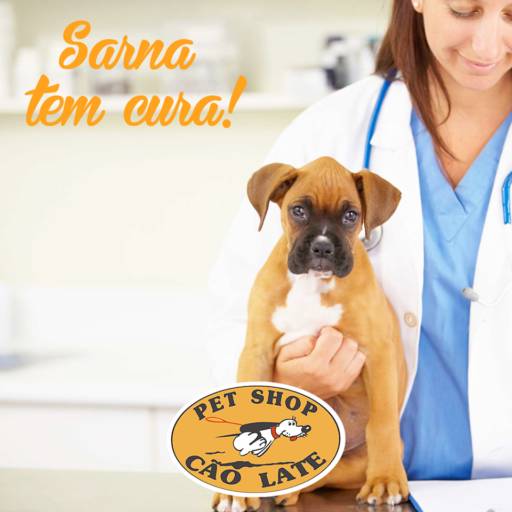 Comprar o produto de Sarna tem cura! em Outros pela empresa Pet Shop Cão Late (Vianelo) em Jundiaí, SP por Solutudo