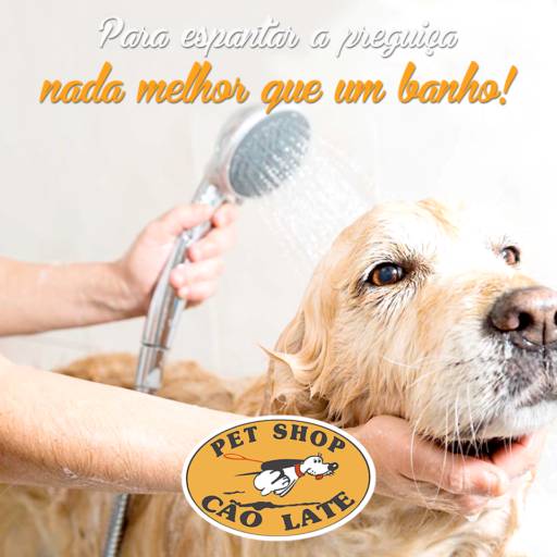 Comprar o produto de Agende um horário para seu pet!  em Cachorros pela empresa Pet Shop Cão Late (Vianelo) em Jundiaí, SP por Solutudo