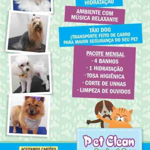 Comprar o produto de Tudo para o seu Cãozinho  em Higiene e Limpeza pela empresa Pet Clean Banho & Tosa em Araçatuba, SP por Solutudo