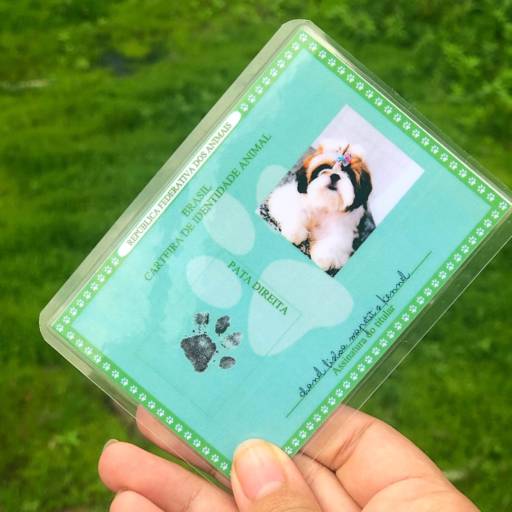Plastificação de certidão de nascimento / RG do seu Pet (Cães e Gatos), polaseal - WSG Brasil