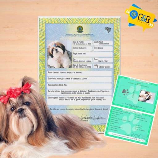 Plastificação de certidão de nascimento / RG do seu Pet (Cães e Gatos), polaseal - WSG Brasil