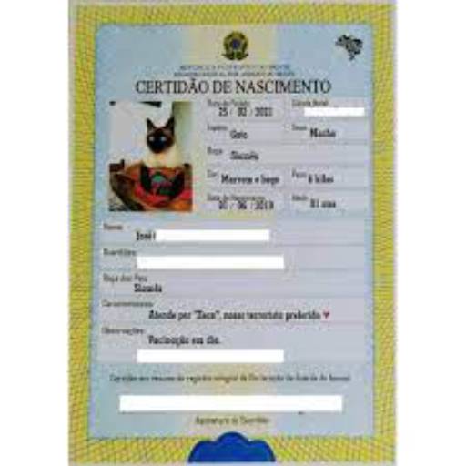 Plastificação de certidão de nascimento / RG do seu Pet (Cães e Gatos), polaseal - WSG Brasil