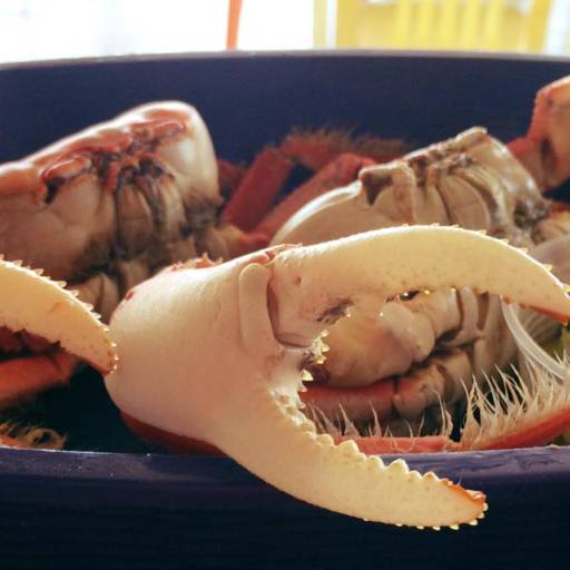 Comprar o produto de Degustação de caranguejo  em Alimentos e Bebidas pela empresa Recanto 15 - Bar e Restaurante do Nelsinho em Aracaju, SE por Solutudo