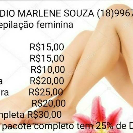 Comprar o produto de Depilação Feminina em Outros Serviços pela empresa Studio Marlene Souza em Assis, SP por Solutudo