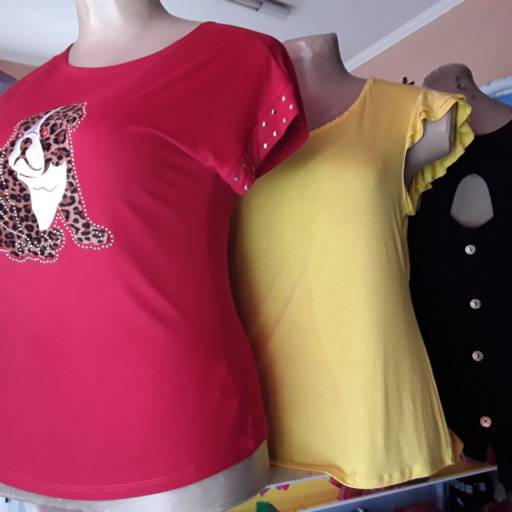 Comprar o produto de T-Shirts Plus Size  em Feminino pela empresa Gi Magazine em Araçatuba, SP por Solutudo