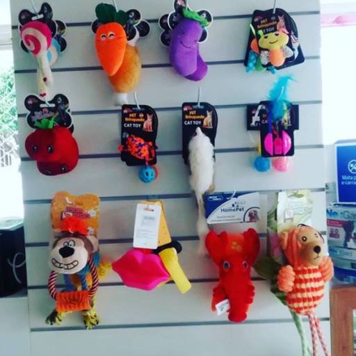 Brinquedos