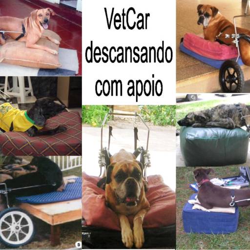 Descansando  por VetCar