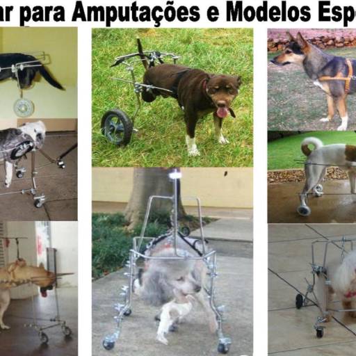 MODELOS ESPECIAIS por VetCar