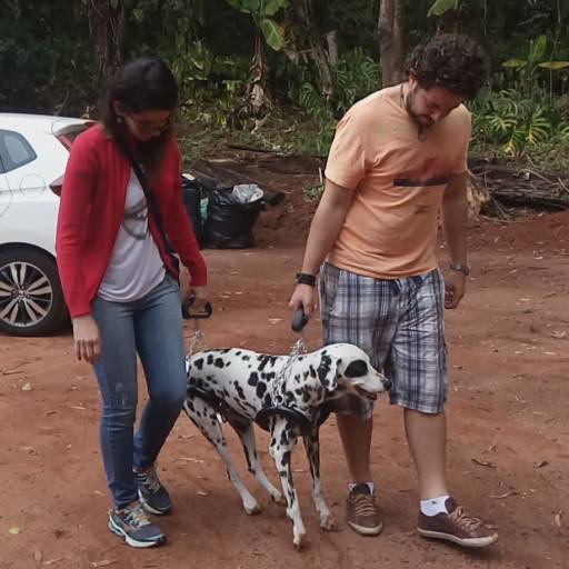 SUPORTE ACUPUNCTURA  por VetCar