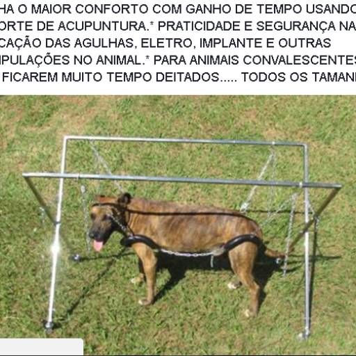 SUPORTE ACUPUNCTURA  por VetCar