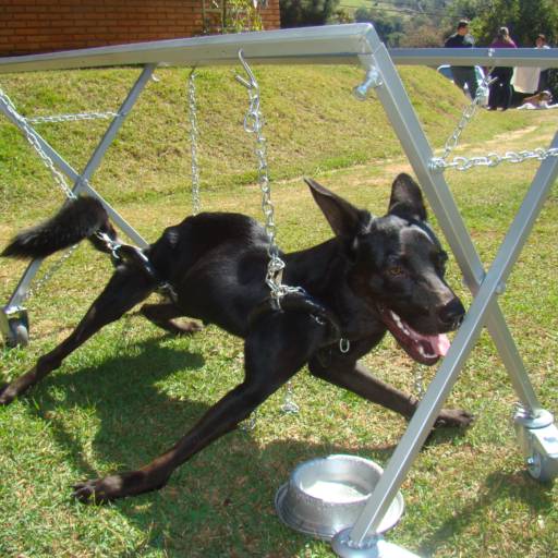 SUPORTE ACUPUNCTURA  por VetCar