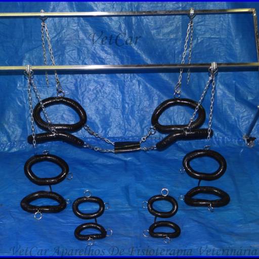 SUPORTE ACUPUNCTURA  por VetCar