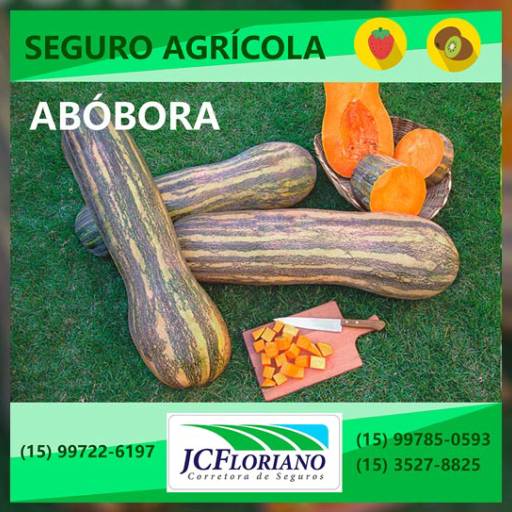 Seguro de Abóbora