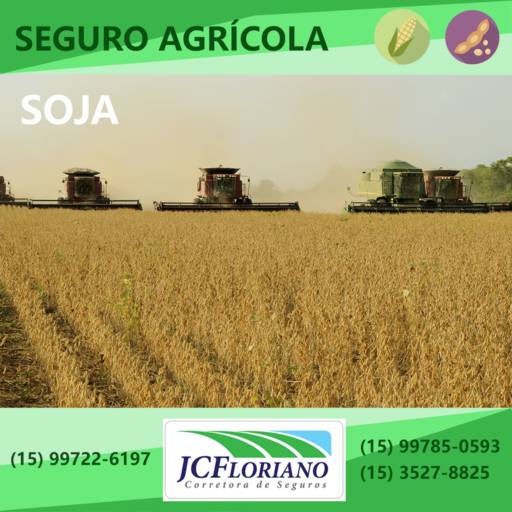Seguro da Cultura de Soja