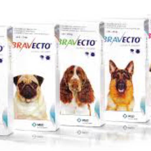 Comprar o produto de Bravecto em Avaré em Animais pela empresa Clínica Veterinária São Francisco em Avaré em Avaré, SP por Solutudo