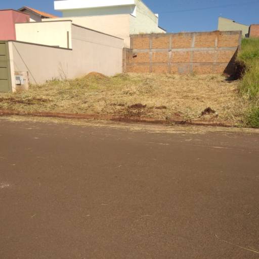 ROÇAGEM ÚNICA por Eco Cidadania Roçagem e Limpeza de Terrenos