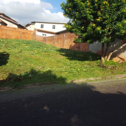 EVITANDO DOENÇAS por Eco Cidadania Roçagem e Limpeza de Terrenos