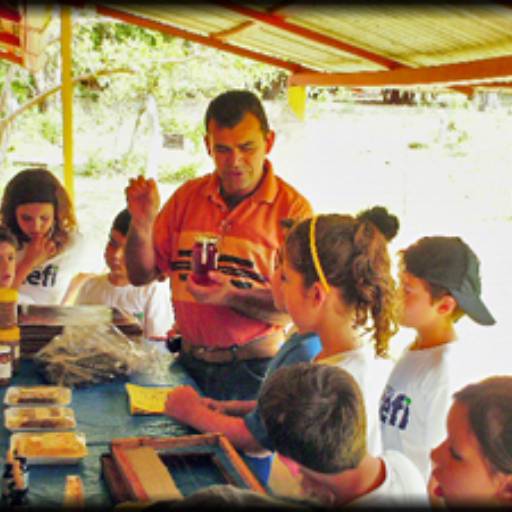 PROJETOS em Atibaia, SP por Escola CEFI