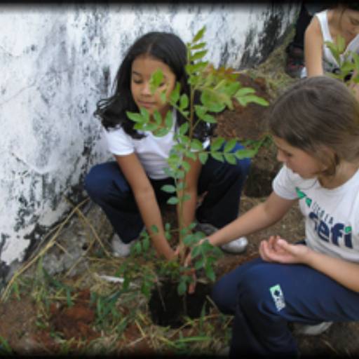 MEIO AMBIENTE em Atibaia, SP por Escola CEFI