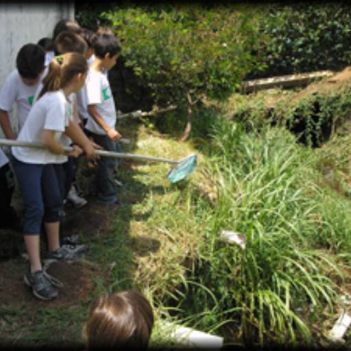 MEIO AMBIENTE em Atibaia, SP por Escola CEFI