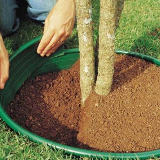 Limitador de Grama por Moura Serviços & Comércio