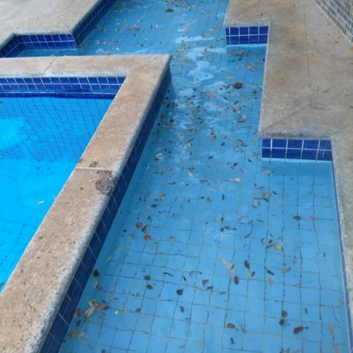 Limpeza de Piscinas por Top Piscinas - Silvio Lene